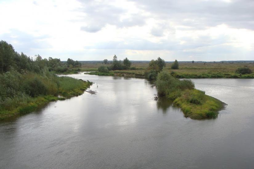 Іванків з panoramio.com - Иванков