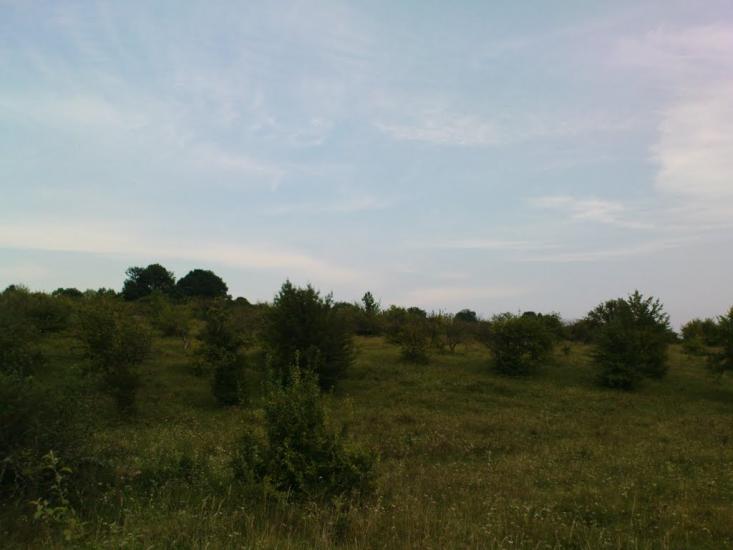 Глушківці з panoramio.com - Глушківці