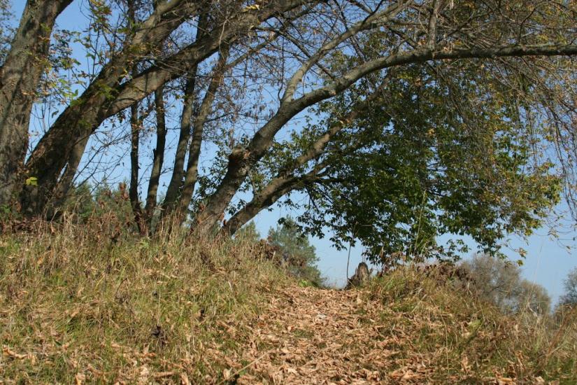 Хомине з panoramio.com - Хомине