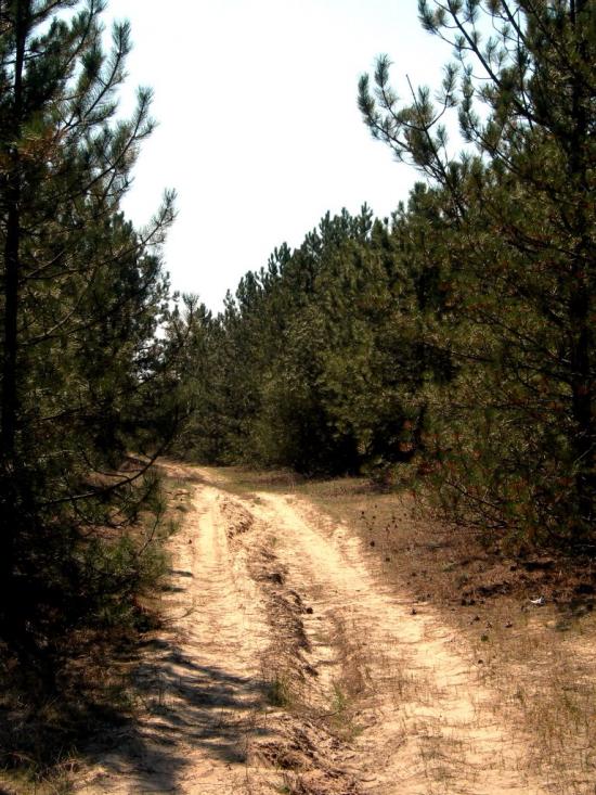 Раденськ з panoramio.com - Radensk