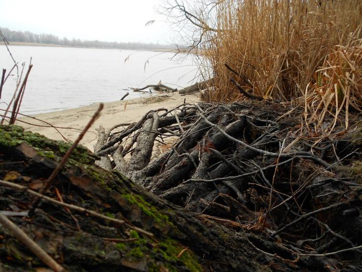 Леськи з panoramio.com - Леськи