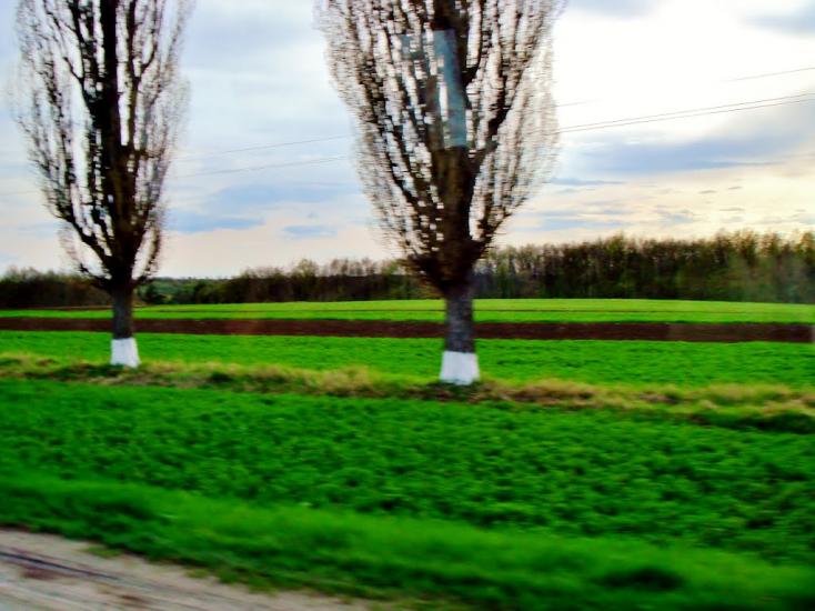 Лисянка з panoramio.com - Lysyanka