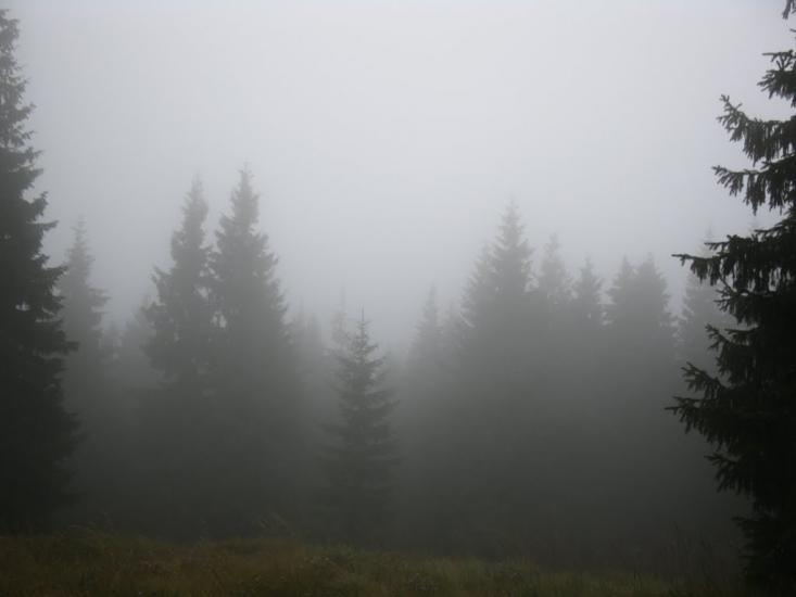 Нижня Рожанка з panoramio.com - Нижняя Рожанка