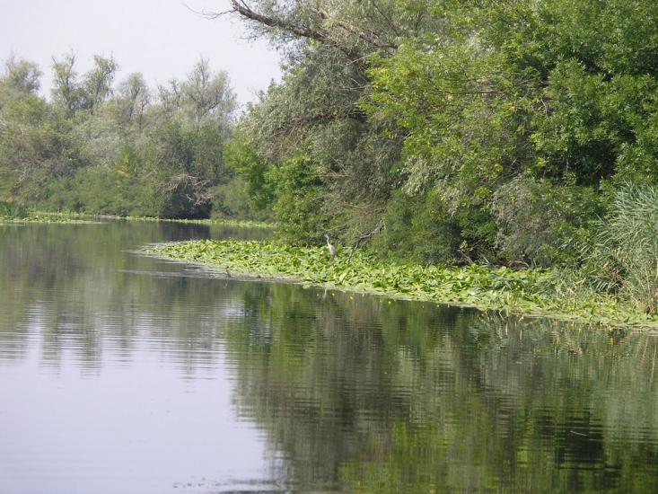 Кринки з panoramio.com - Кринки