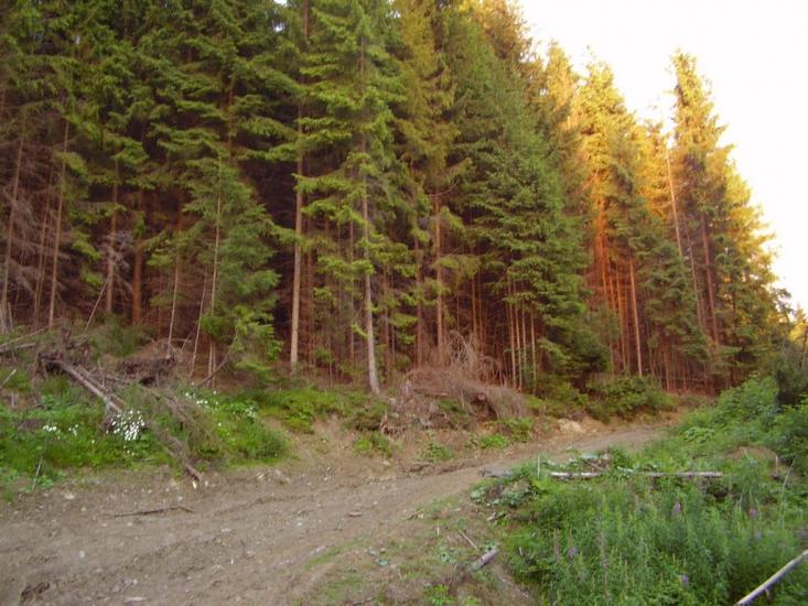 Погар з panoramio.com - Погар