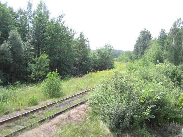 Жупанівка з panoramio.com - Жупанівка
