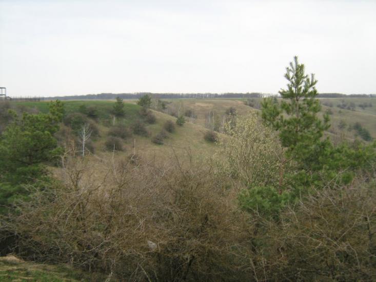 Курган з panoramio.com - Курган