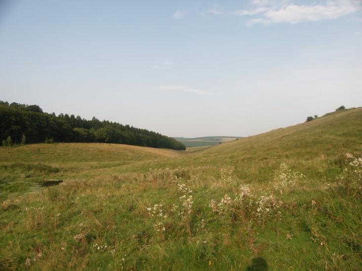 Монастириська з panoramio.com - Монастыриска
