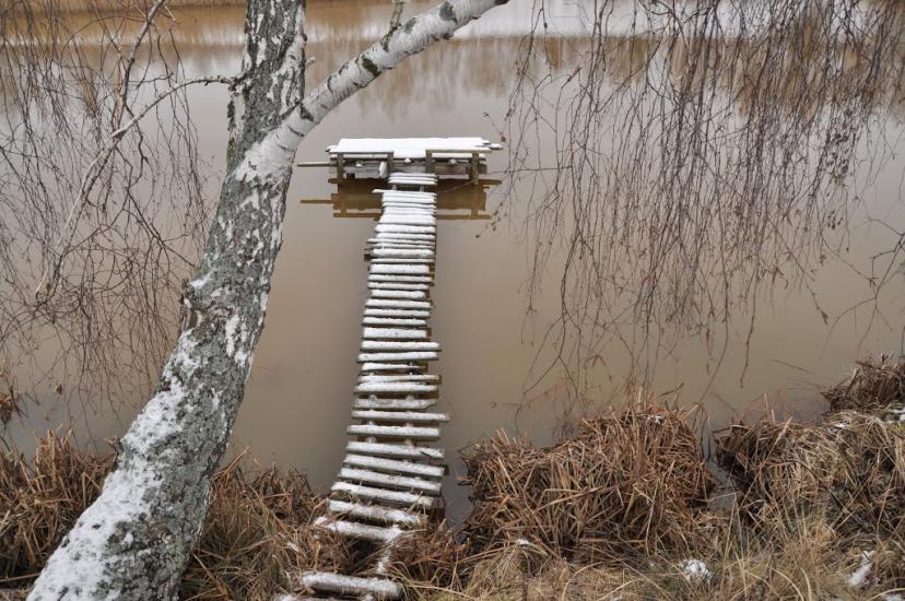 Ровжі з panoramio.com - Ровжи