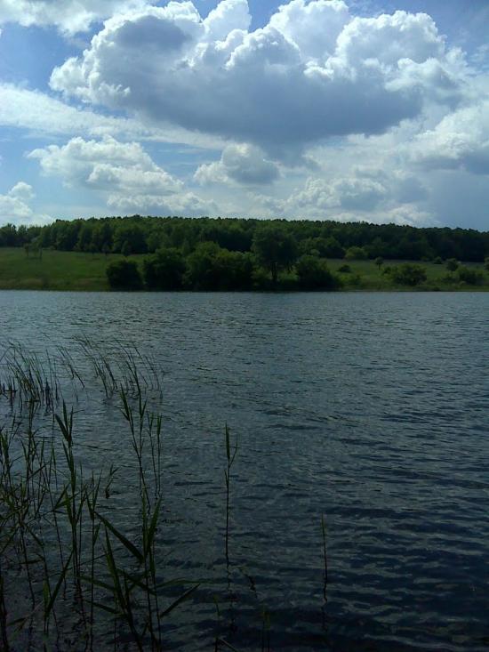 Черняки з panoramio.com - Черняки