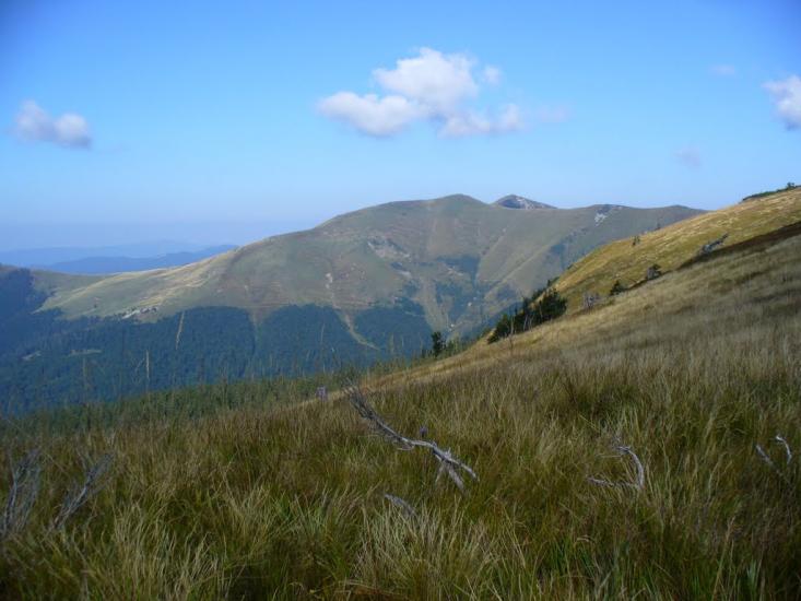 Береги з panoramio.com - Береги