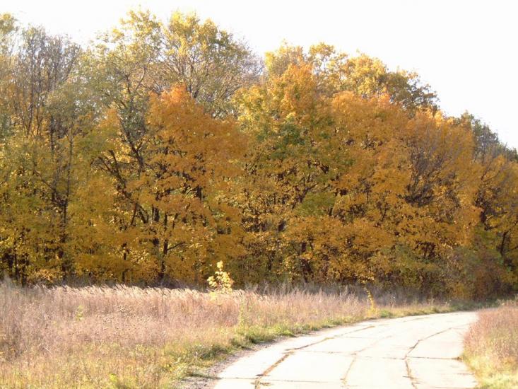 Пантаївка з panoramio.com - Пантаївка