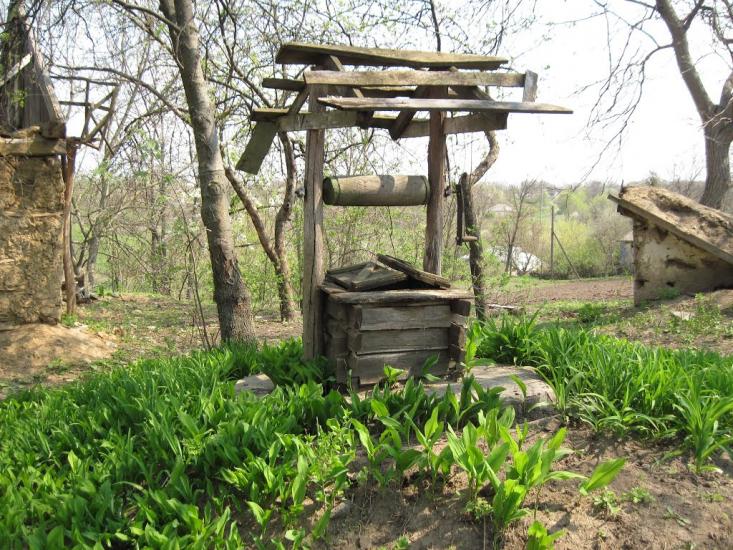 Ротмістрівка з panoramio.com - Ротмістрівка