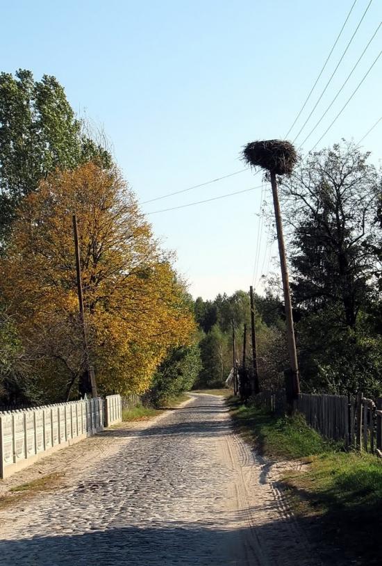 Адамчуки з panoramio.com - Адамчуки