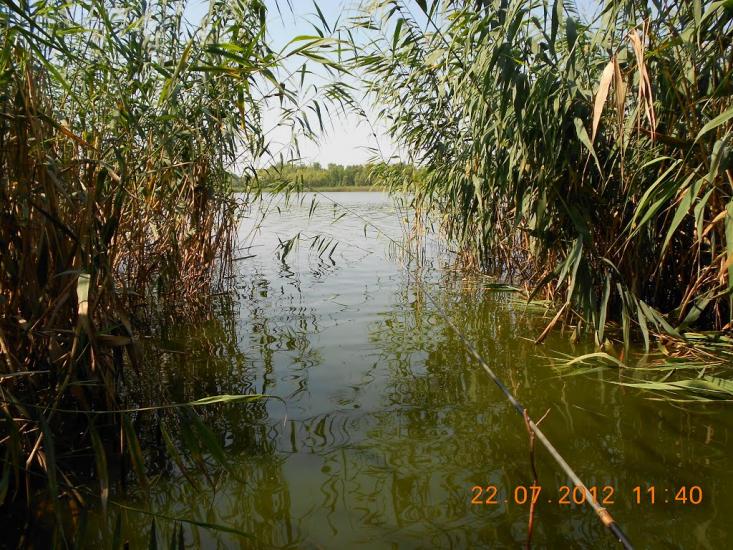 Леськи з panoramio.com - Леськи