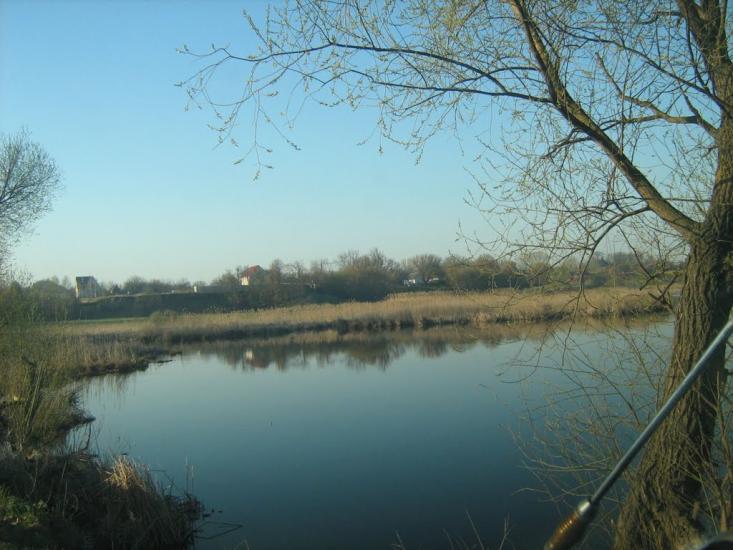 Ставище з panoramio.com - Stavishche