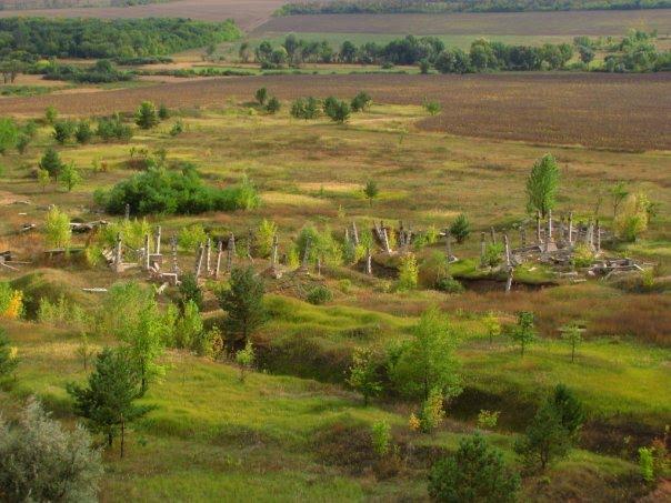 Бірки з panoramio.com - Борки