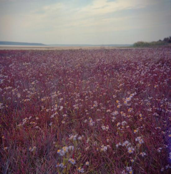 Красносілка з panoramio.com - Красноселка