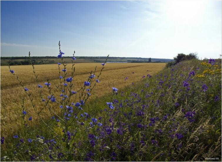 Сергіївка з panoramio.com - Сергіївка