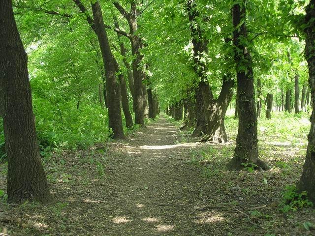 Каютине з panoramio.com - Каютино