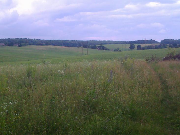 Сатиїв з panoramio.com - Satyyiv