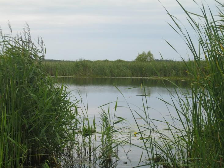 Хотешів з panoramio.com - Хотешів