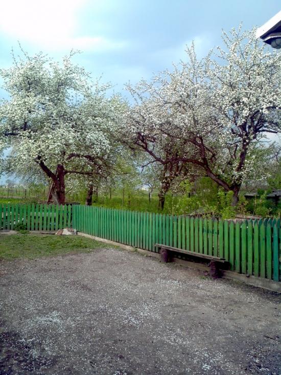 Велика Калинка з panoramio.com - Велика Калинка