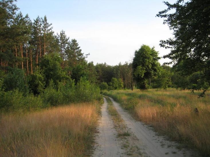 Старосілля з panoramio.com - Starosillya