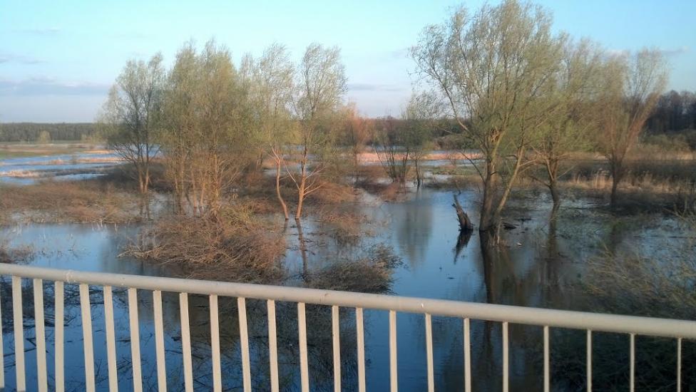 Лукашівка з panoramio.com - Лукашовка