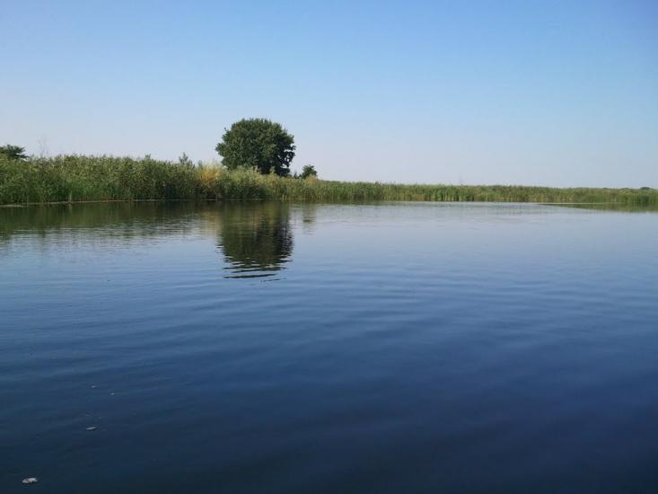 Гупалівка з panoramio.com - Гупаловка