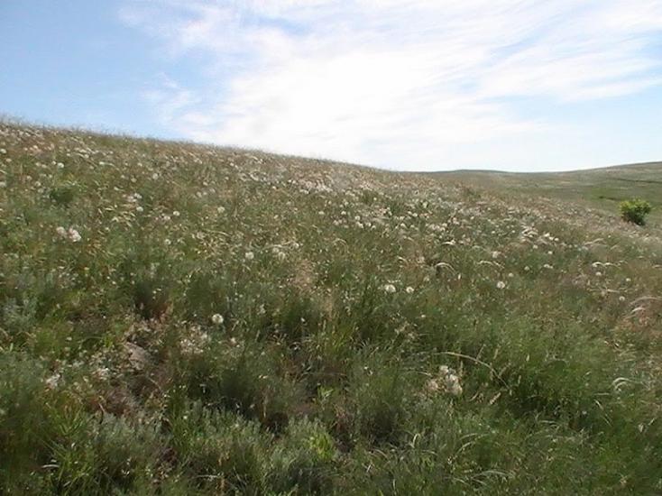 Красне з panoramio.com - Красное