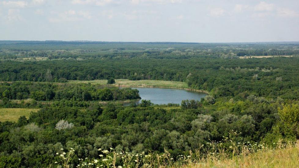 Берегове з panoramio.com - Берегове