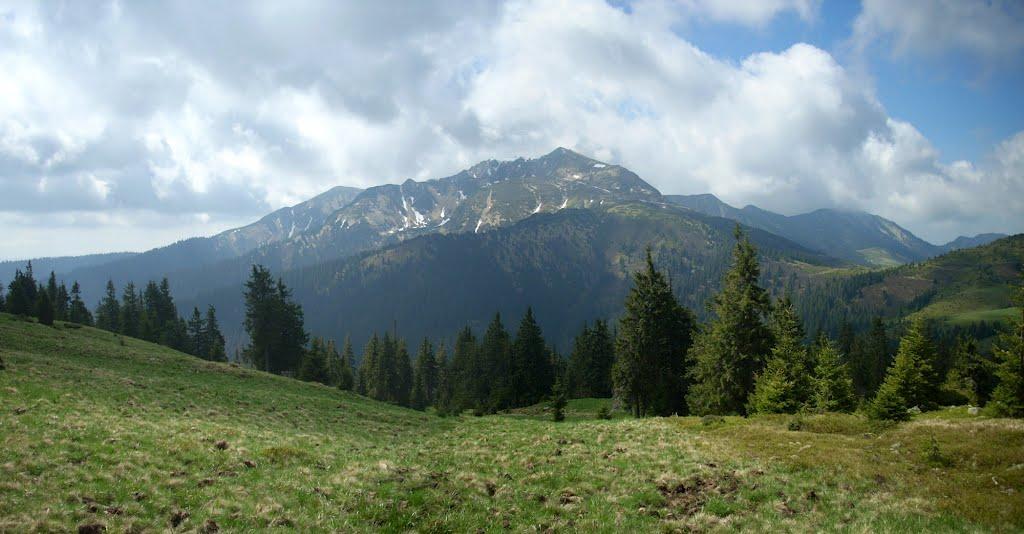 Видричка з panoramio.com - Видричка