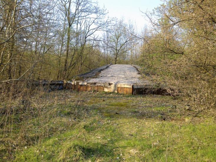 Давидківці з panoramio.com - Давыдковцы