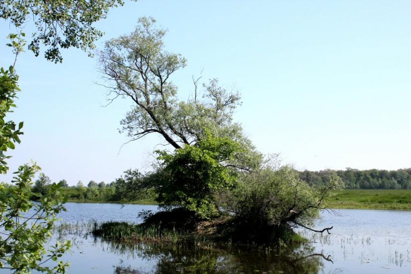 Рижівка з panoramio.com - Рыжевка