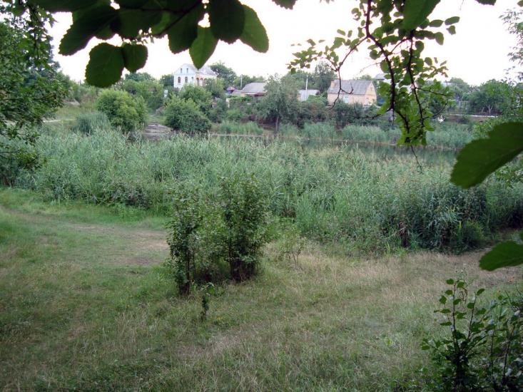 Созонівка з panoramio.com - Созоновка