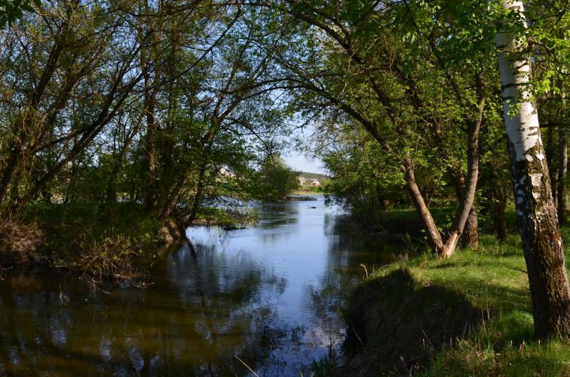 Огірцеве з panoramio.com - Ogirtseve