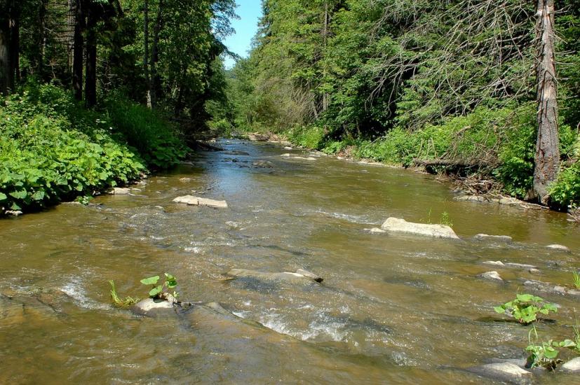 Сянки з panoramio.com - Сянки