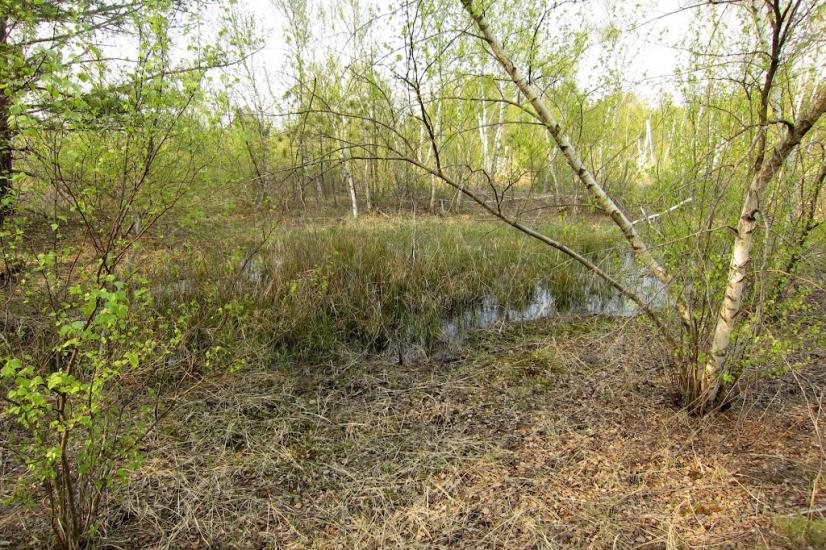 Козачі Лагері з panoramio.com - Козачие Лагеря