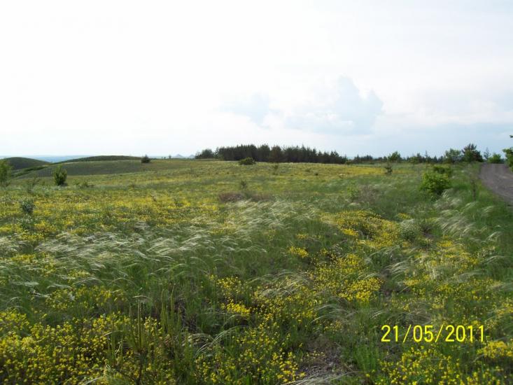 Пискунівка з panoramio.com - Пискуновка