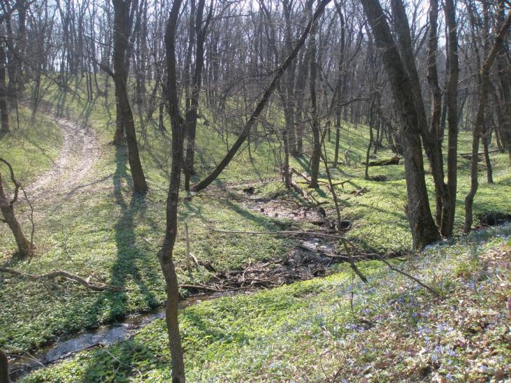 Зелений Гай з panoramio.com - Зелений Гай