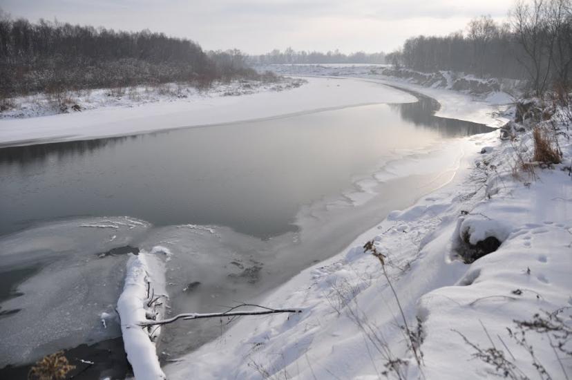 Заріччя з panoramio.com - Заречье