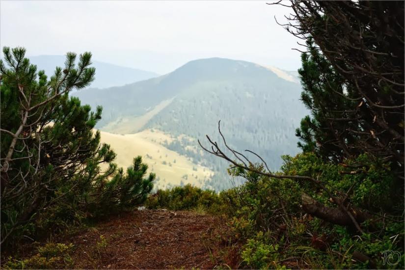Заверхня Кичера з panoramio.com - Заверхня Кичера
