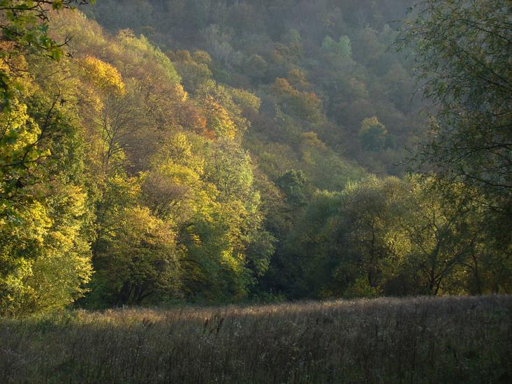 Кринцілів з panoramio.com - Кринцілів