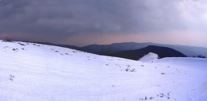 Вовчий з panoramio.com - Vovchyy