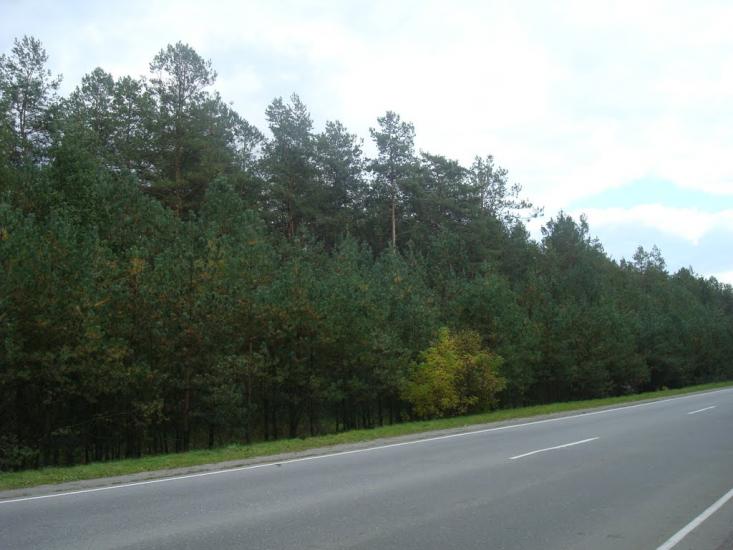 Славута з panoramio.com - Славута