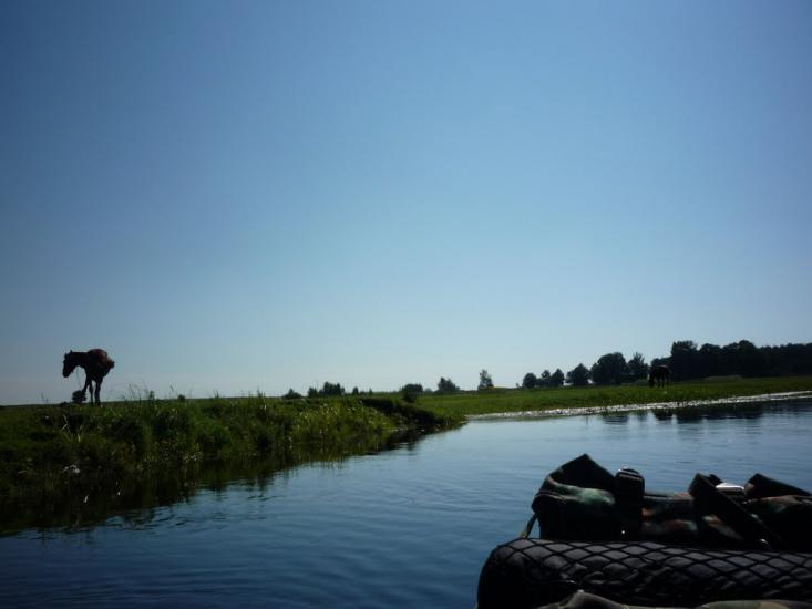 Березичі з panoramio.com - Березичі