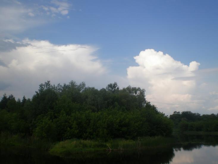 Кулики з panoramio.com - Кулики