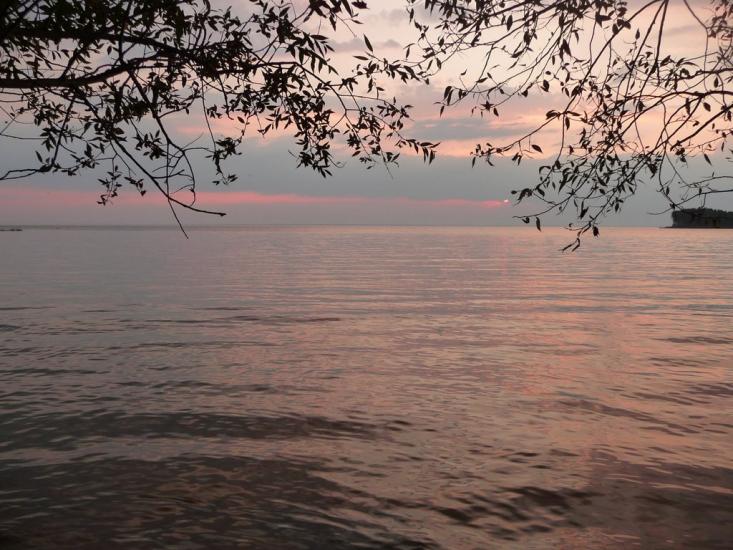 Ровжі з panoramio.com - Ровжи