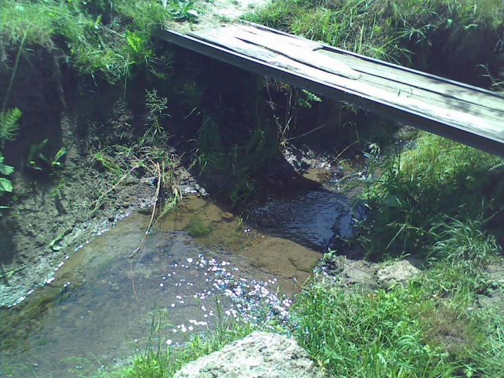 Нижні Синівці з panoramio.com - Нижние Синевцы